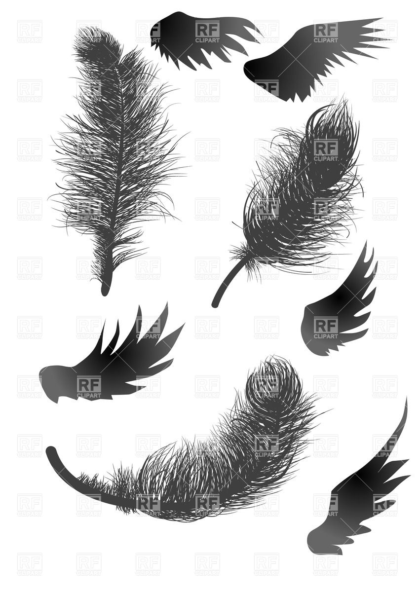Black Silhouette Of Fluffy Feathers And Wings Vector Image 849x1200 Black Silhouette Of Fluffy Feathers And Wings Vector Image