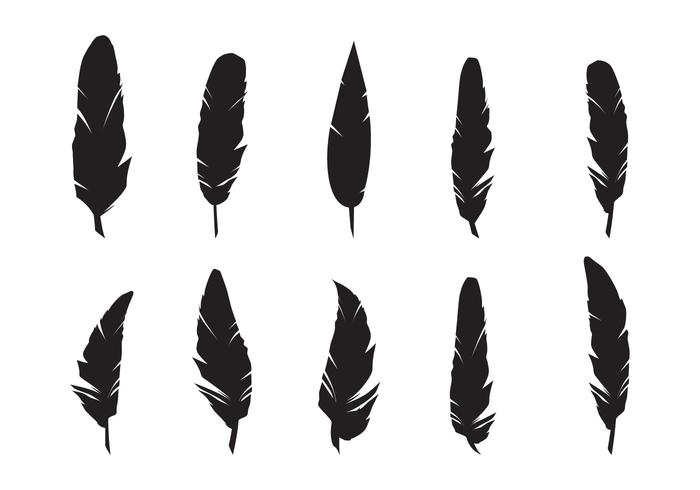 Feather Free Vector Art 700x490 Feather Free Vector Art