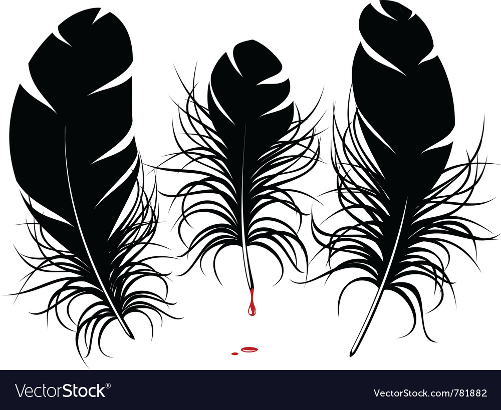 1000x819 Feather Silhouette Vector