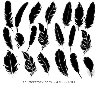 Feather Silhouette Vector Free at Vectorified.com | Collection of ...