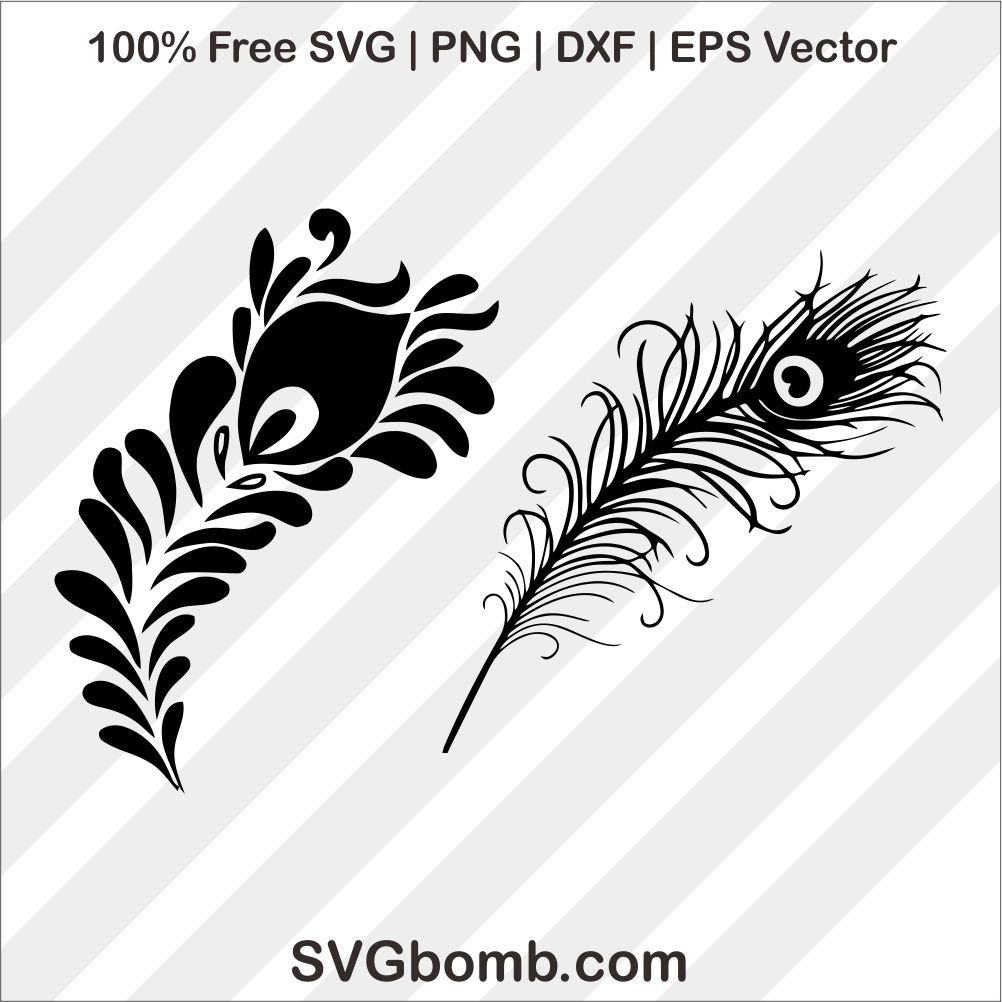 1002x1002 Peacock Feather Black Silhouette