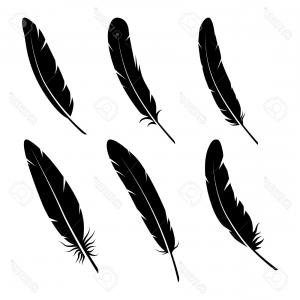 300x300 Royalty Free Vector Of A Black And White Feather Logo