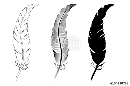 500x334 Set Three Feathers, Outline, Silhouette, Stylization Stock Image