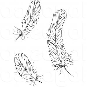 Feather Silhouette Vector Free at Vectorified.com | Collection of ...