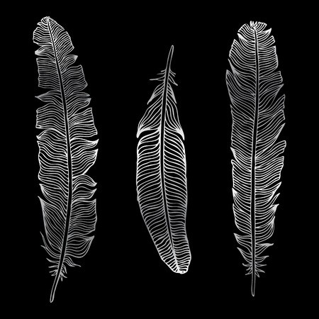 450x450 Vintage Feather Silhouette Vector Set Hand Drawn Illustration