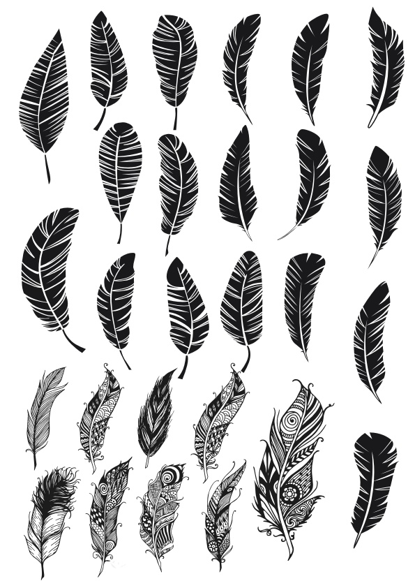 Feather Silhouette Vector Free at Vectorified.com | Collection of ...