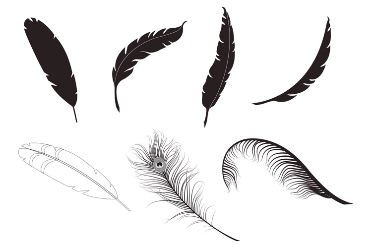 Feather Vector Pack Design Panoply 750x500 Feather Vector Pack Design Panoply