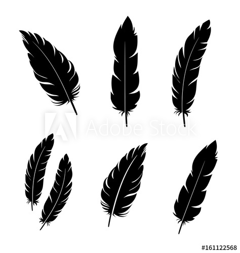 Feather Vector Icon Set 474x500 Feather Vector Icon Set