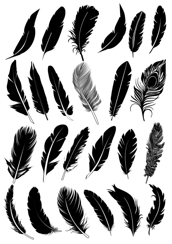 Black Feather Vector Collection Free Vector Cdr Free Download 595x842 Black Feather Vector Collection Free Vector Cdr Free Download