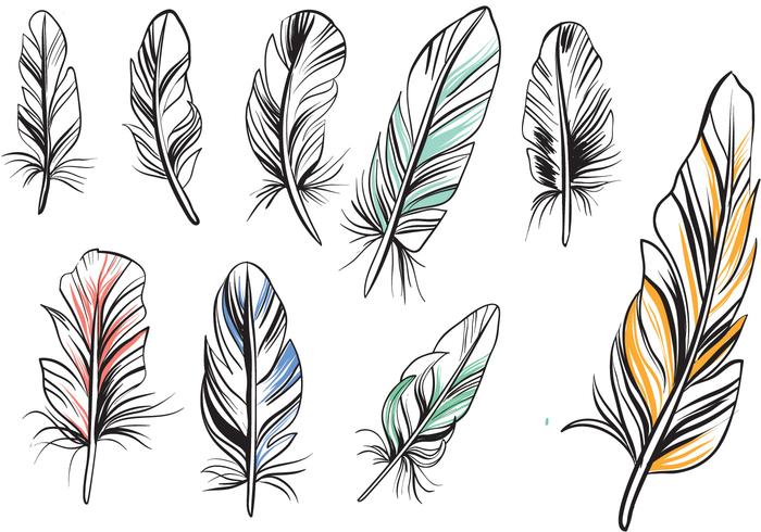 Free Vintage Feathers Vectors 700x490 Free Vintage Feathers Vectors