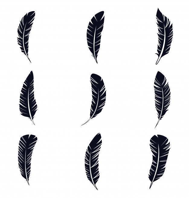 626x658 Quill Vectors, Photos And Free Download