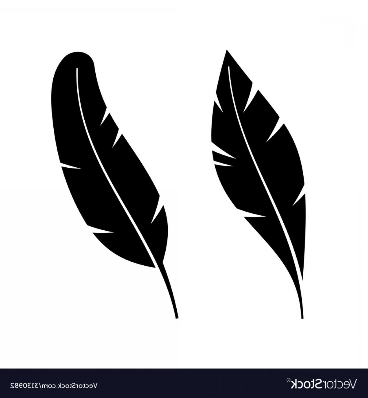 Two Icon Style Feathers Vector Soidergi 1200x1296 Two Icon Style Feathers Vector Soidergi