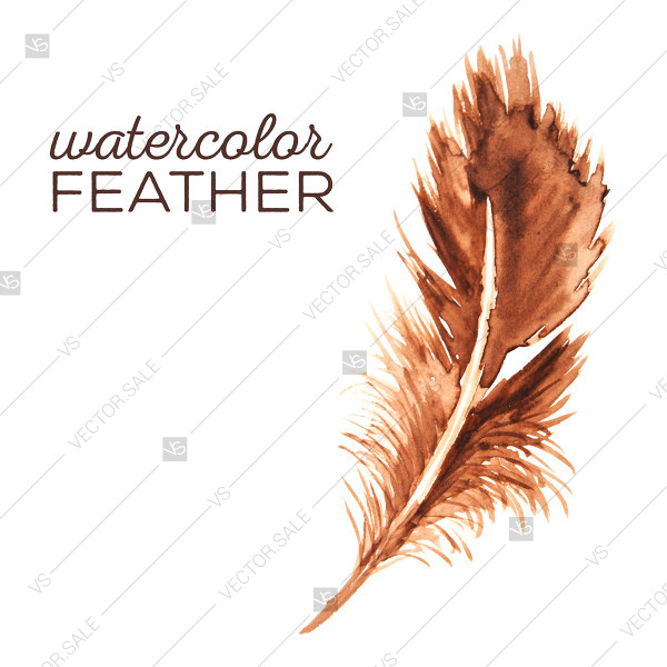 Watercolor Feather Vector Clip Art Boho Decoration Bouquet 600x600 Watercolor Feather Vector Clip Art Boho Decoration Bouquet