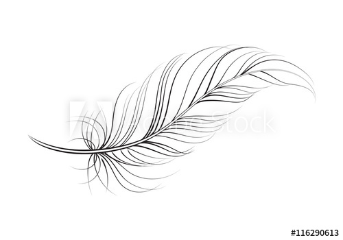 Clip Art Feather, Vector 500x350 Clip Art Feather, Vector