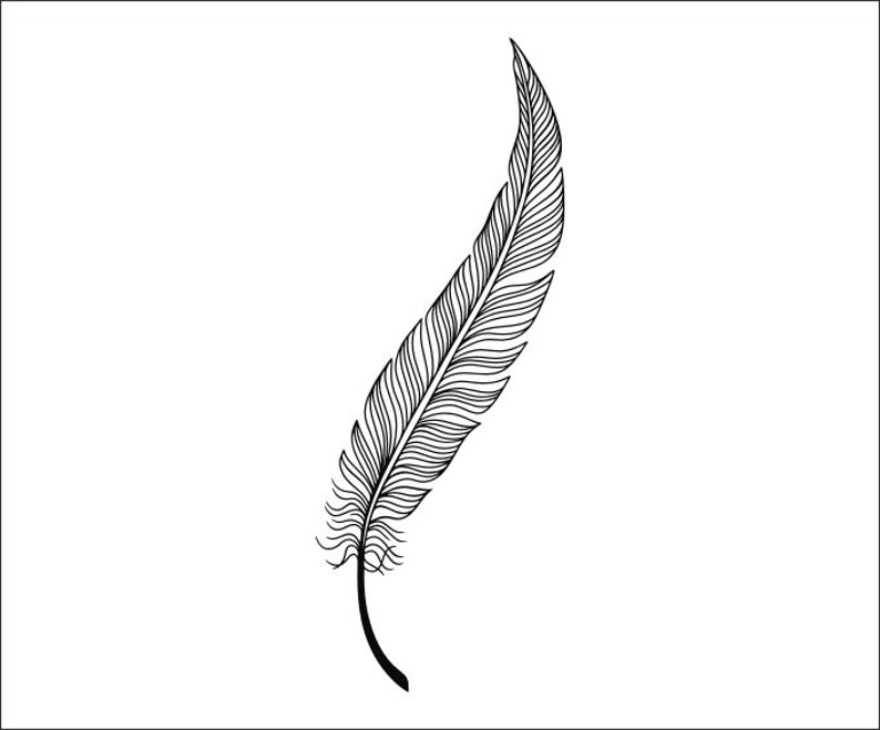 Decorative Feather Digital Instant Download Feather Vector Etsy 794x659 Decorative Feather Digital Instant Download Feather Vector Etsy