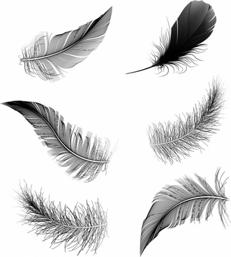 331x368 Feather Pen Free Vector Download