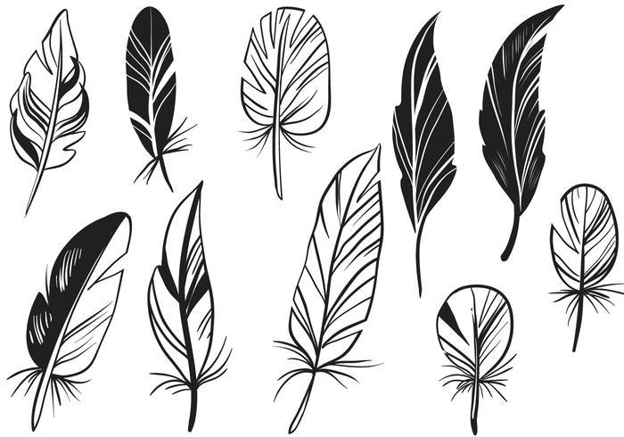 700x490 Free Feathers Vectors