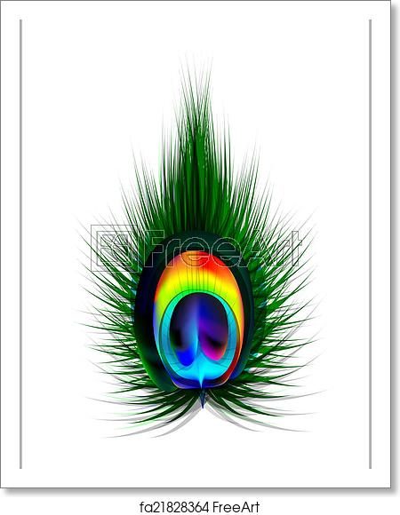 450x580 Free Art Print Of Vector Peacock Feather Vector Peacock Feather