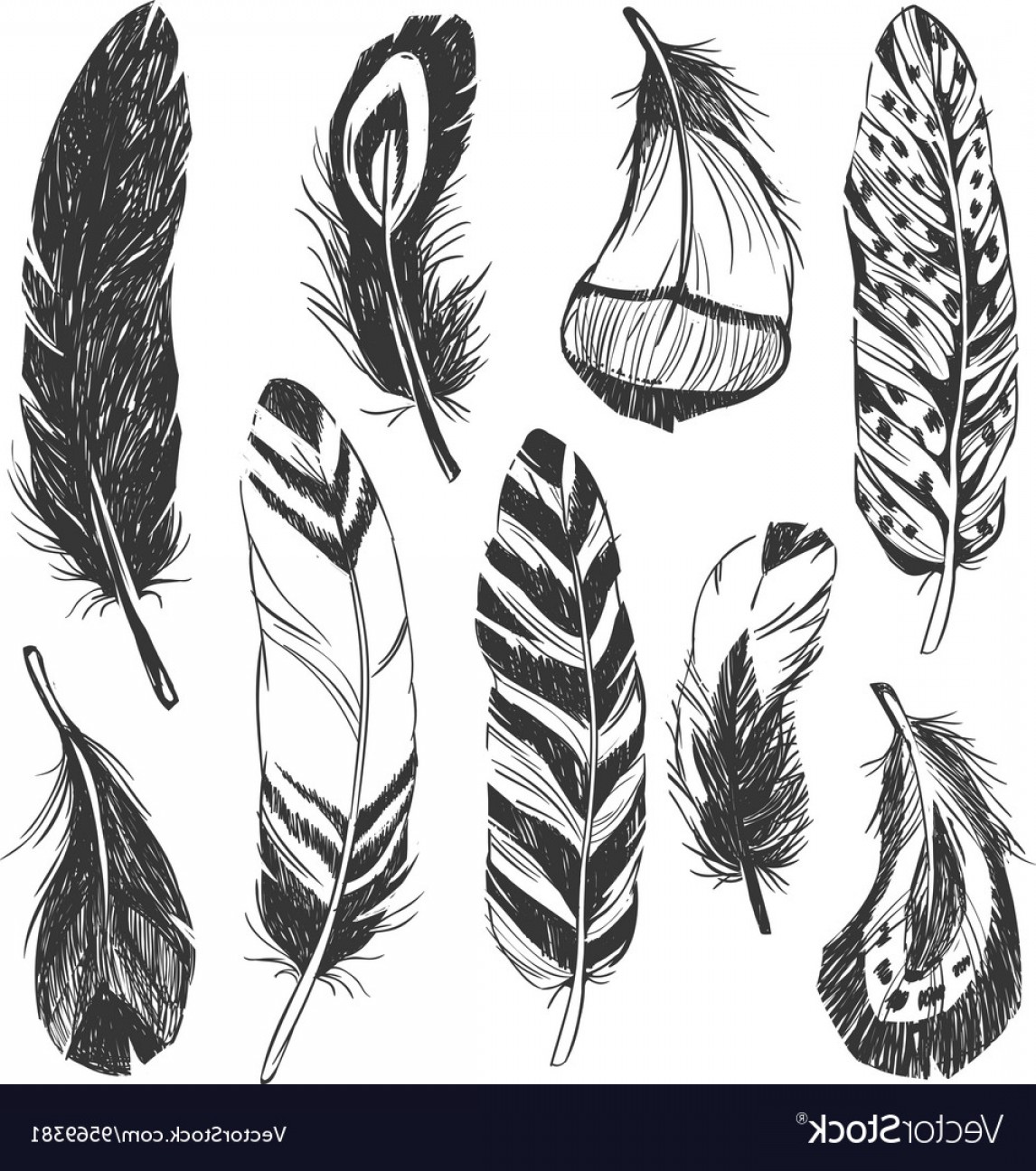 1146x1296 Native Feather Vector Cqrecords