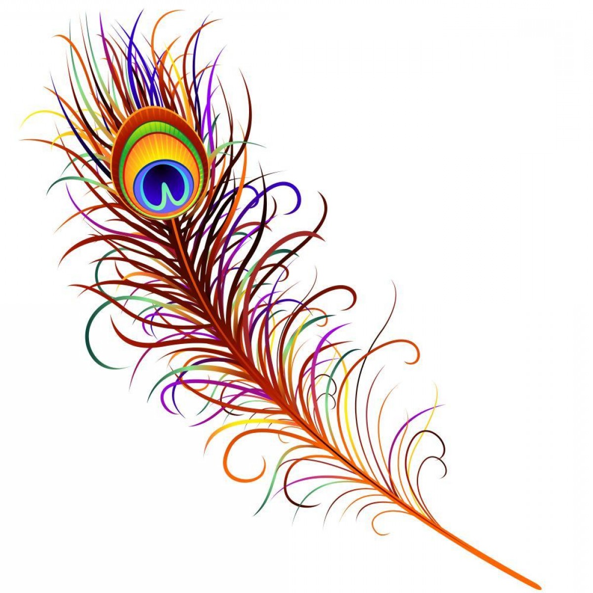 1200x1200 Peacock Feather Peacock Feather Vector Wall Decal Fot Soidergi