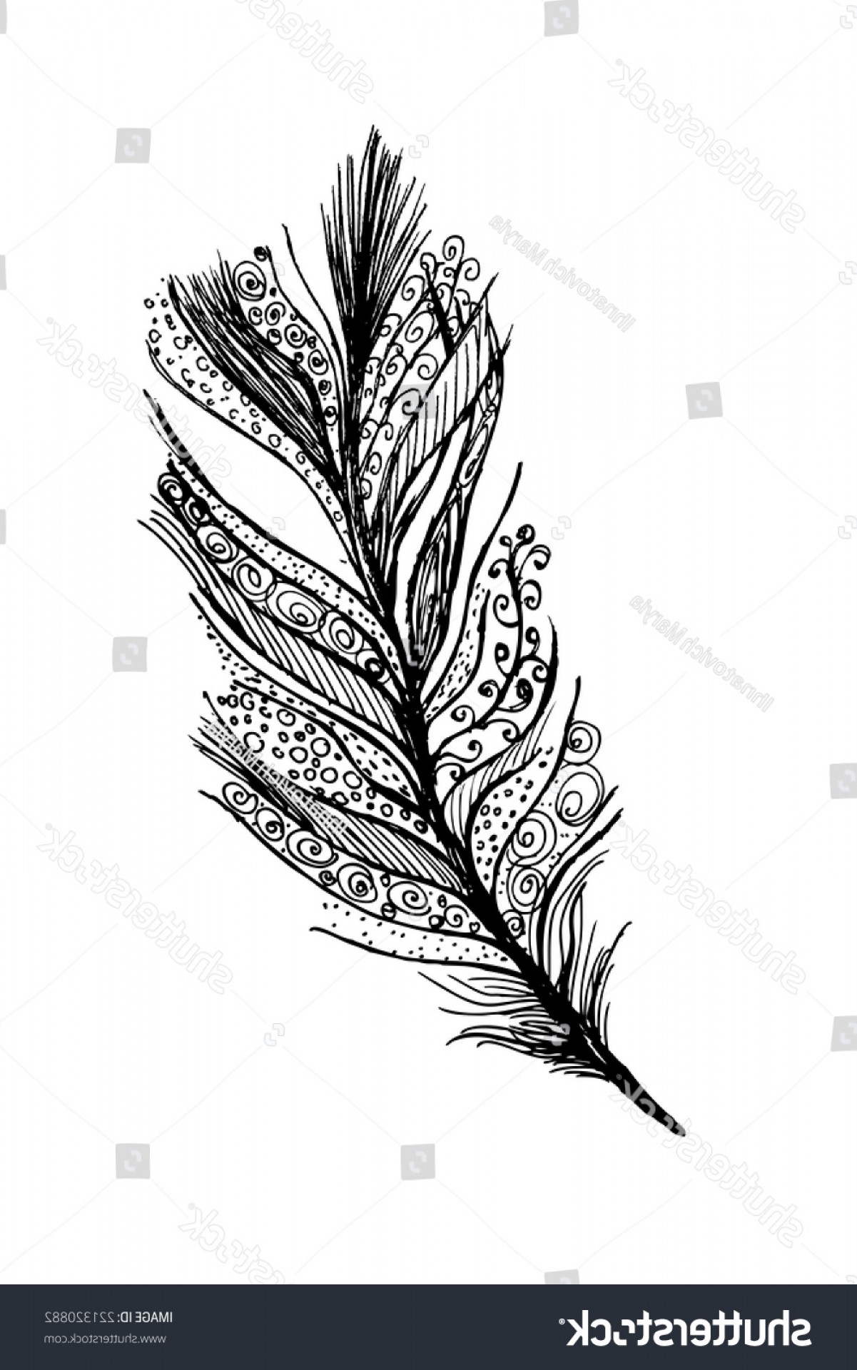 1201x1920 Bird Feather Vector Lamaison