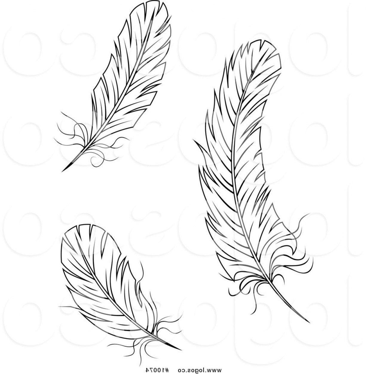 Feather Vector Art at Vectorified.com | Collection of Feather Vector ...