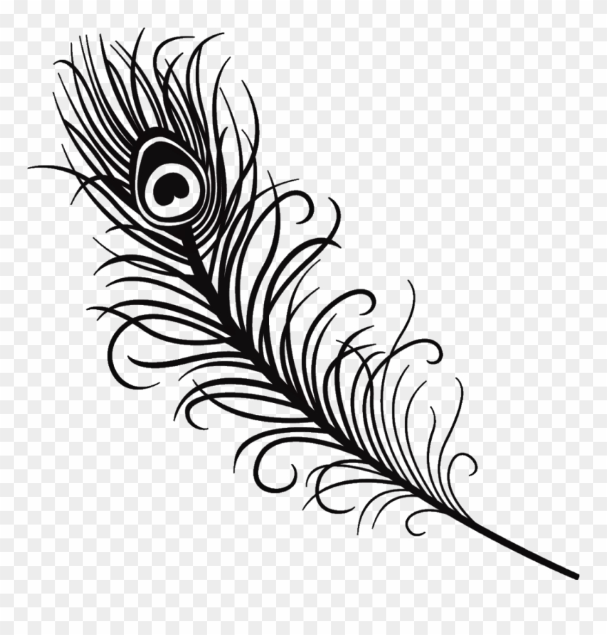 Silhouette Feather Peacock Peacockfeather Black Love 880x920 Silhouette Feather Peacock Peacockfeather Black Love