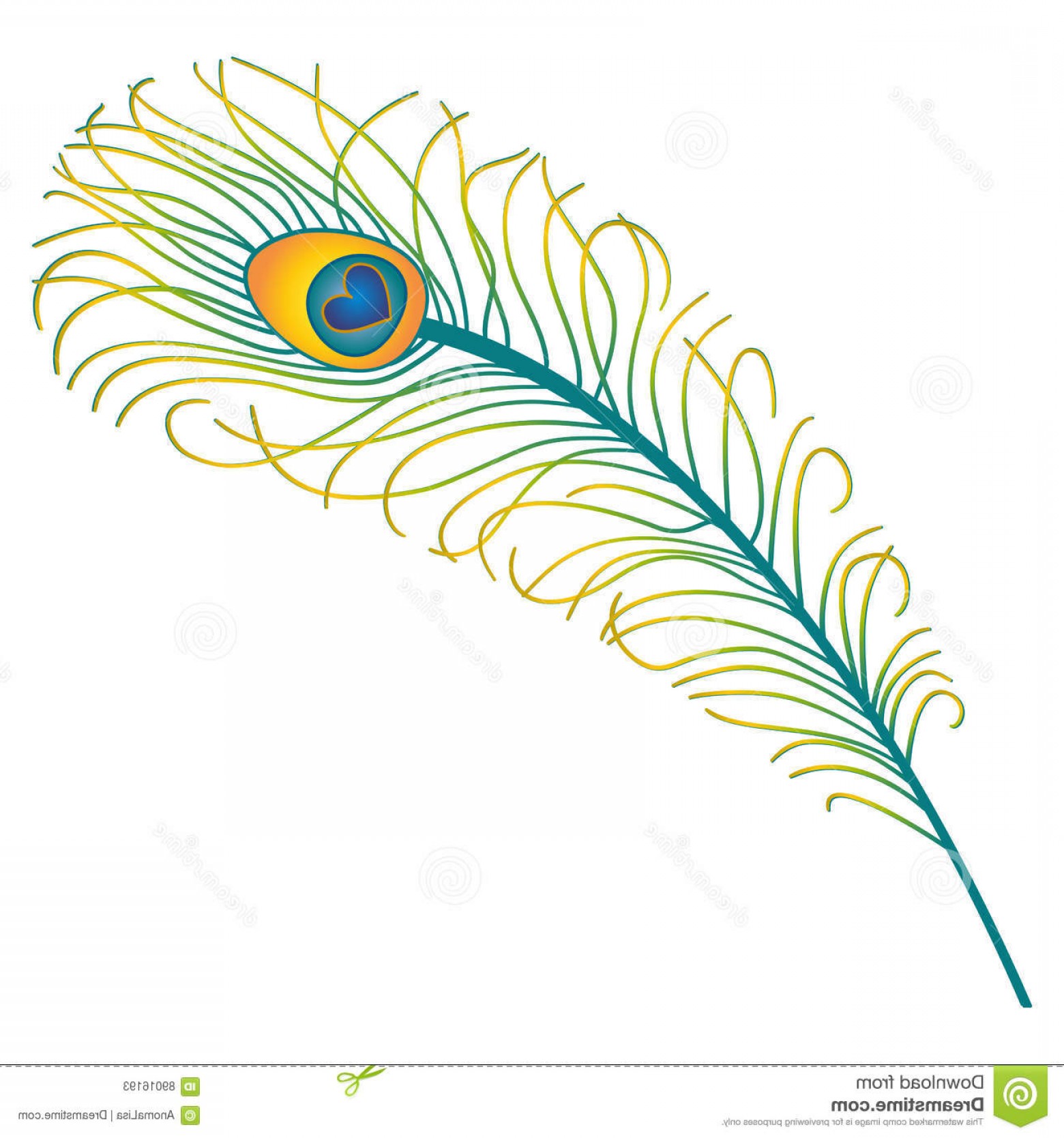 1560x1668 Stock Illustration Peacock Feather Vector Illustration Beautiful