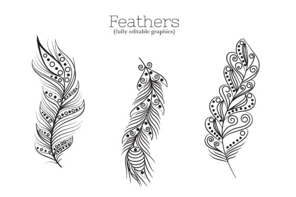 580x386 Zenart Boho Feathers Vector Set Graphic