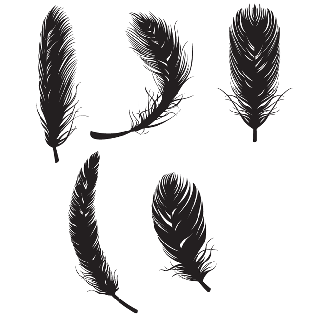 650x653 Feather Free Vectors