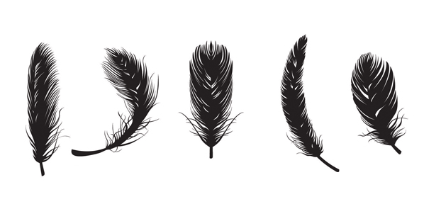 Feather Free Vectors 598x312 Feather Free Vectors
