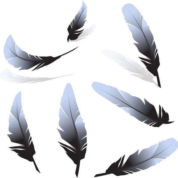 Feather Vector Free Vector In Encapsulated Postscript 600x598 Feather Vector Free Vector In Encapsulated Postscript