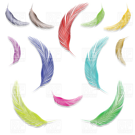 Feathers Vector Image Of Design Elements Robertosch 453x453 Feathers Vector Image Of Design Elements Robertosch