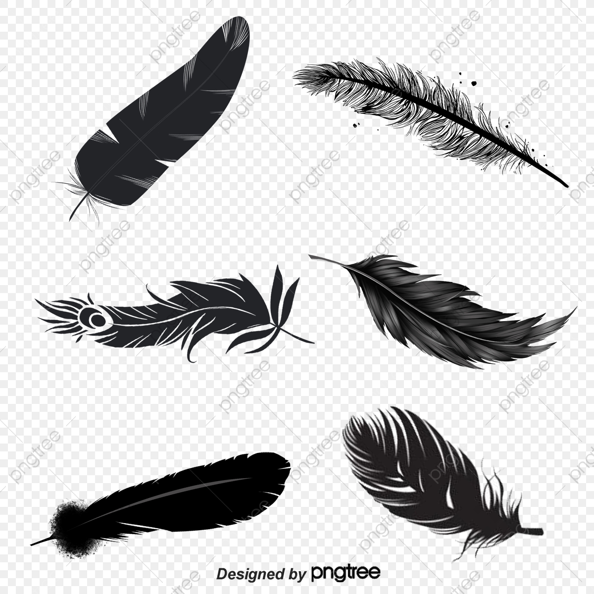 1200x1200 Floating Feather, Floating Vector, Feather Vector Png And Vector