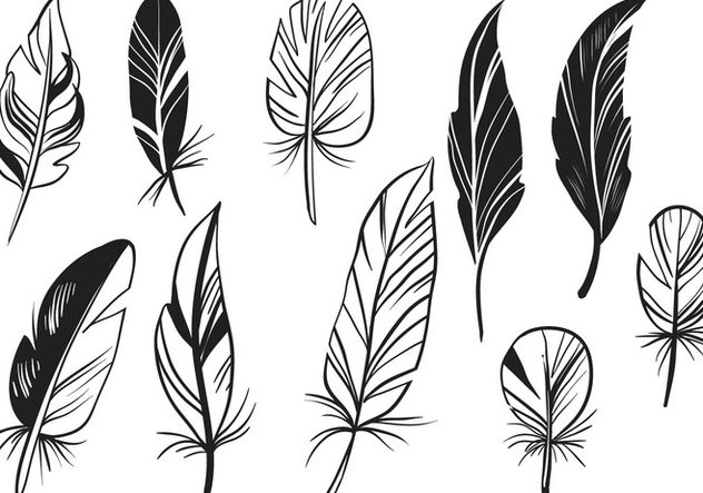 Free Feathers Vectors Free Vector Download Cannypic 632x443 Free Feathers Vectors Free Vector Download Cannypic