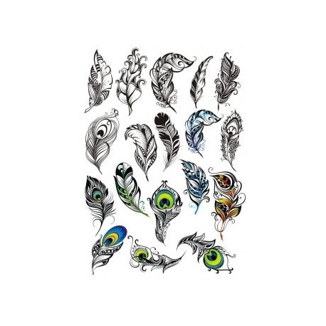 Peacock Feather Vector Set Free Vector 458x458 Peacock Feather Vector Set Free Vector