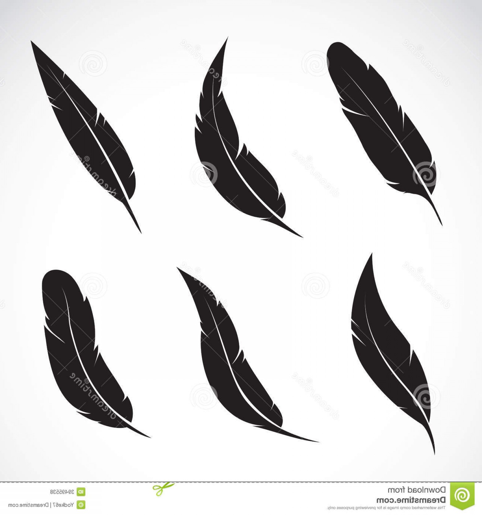 Royalty Free Stock Photos Vector Group Feather White Background 1560x1668 Royalty Free Stock Photos Vector Group Feather White Background