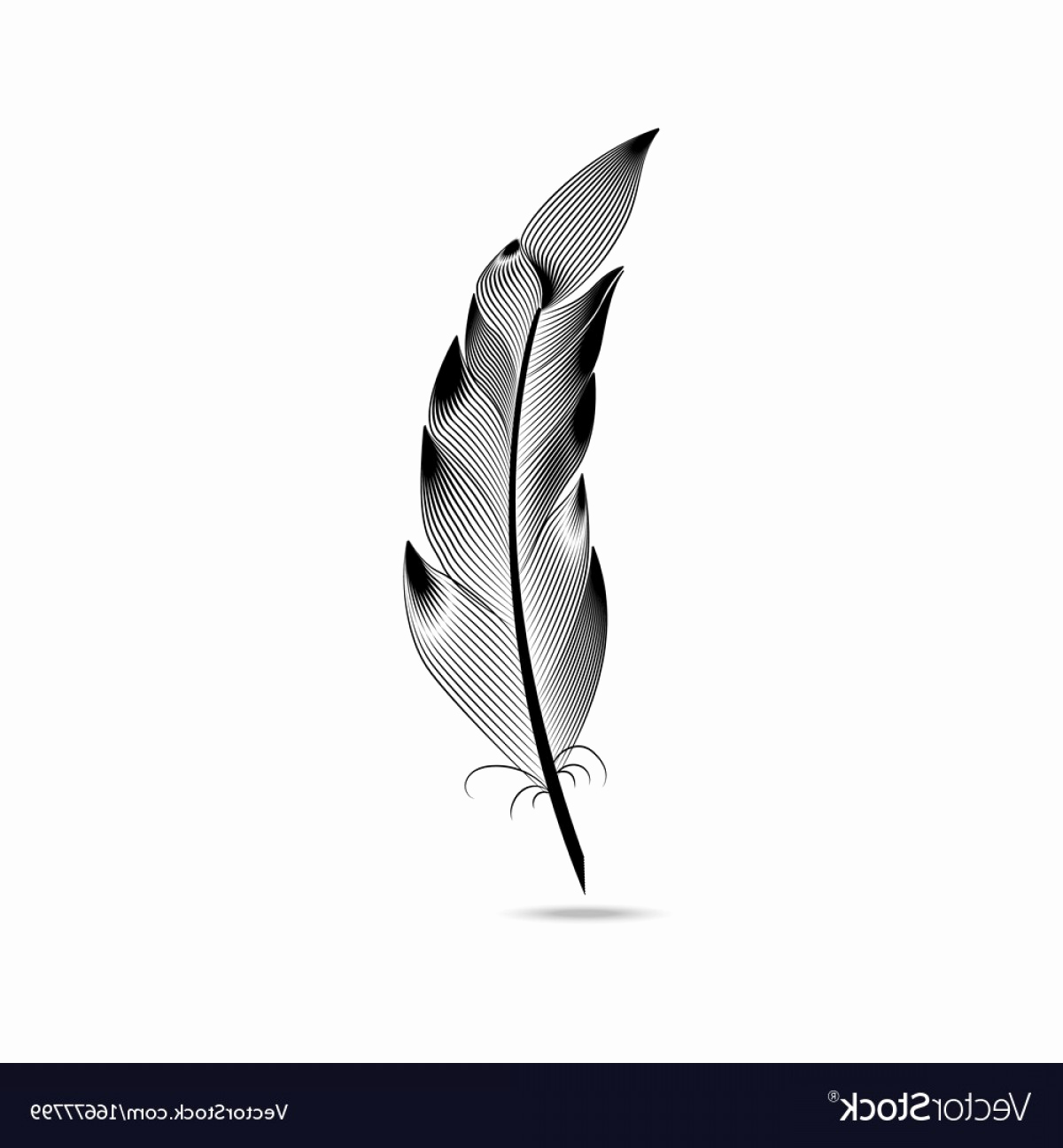 Best Of Peacock Feather Vector This Week Red Bull Wallpaper 1200x1296 Best Of Peacock Feather Vector This Week Red Bull Wallpaper