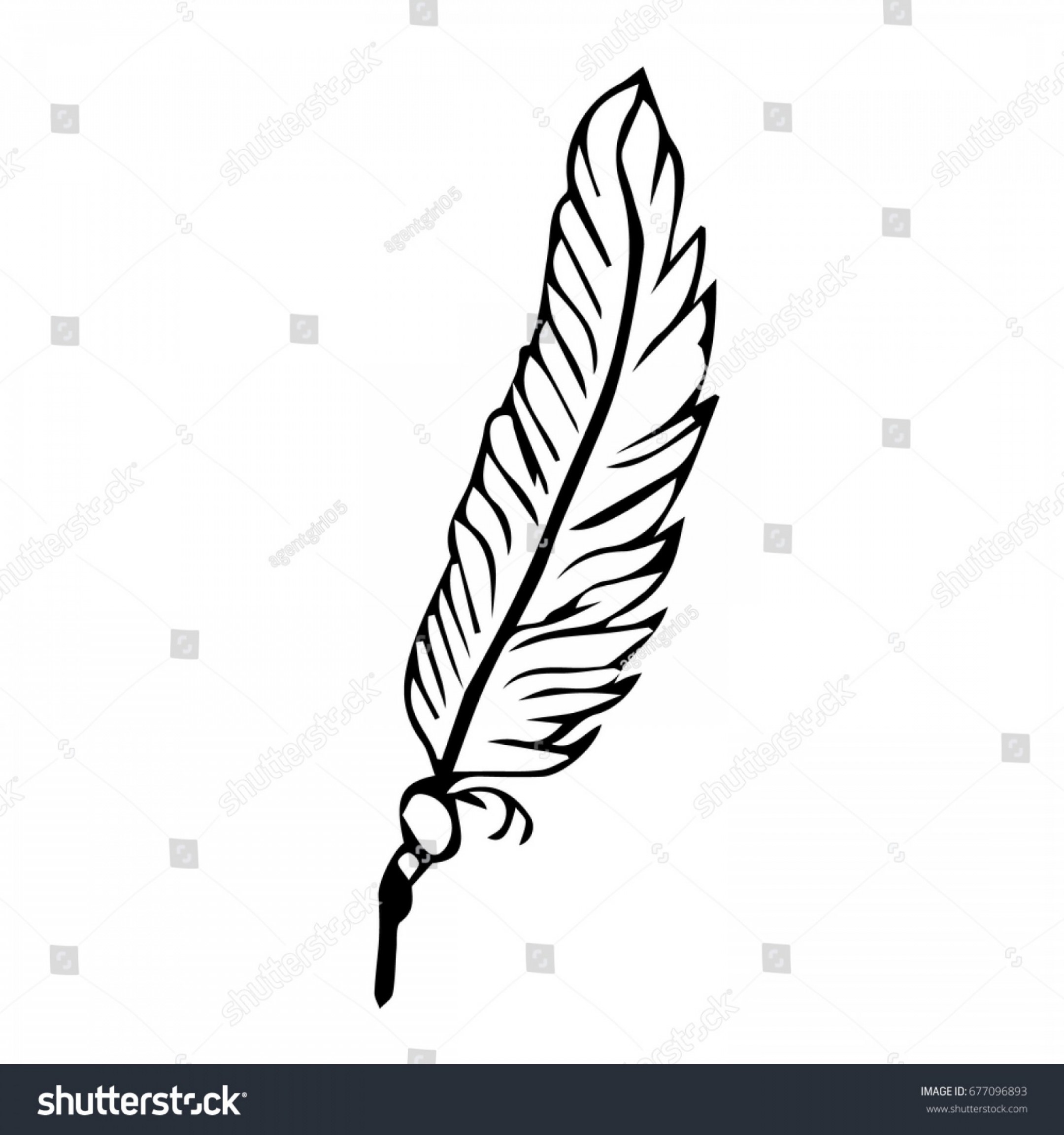 Feather Vector Image Art Decor Catamart 2160x2304 Feather Vector Image Art Decor Catamart