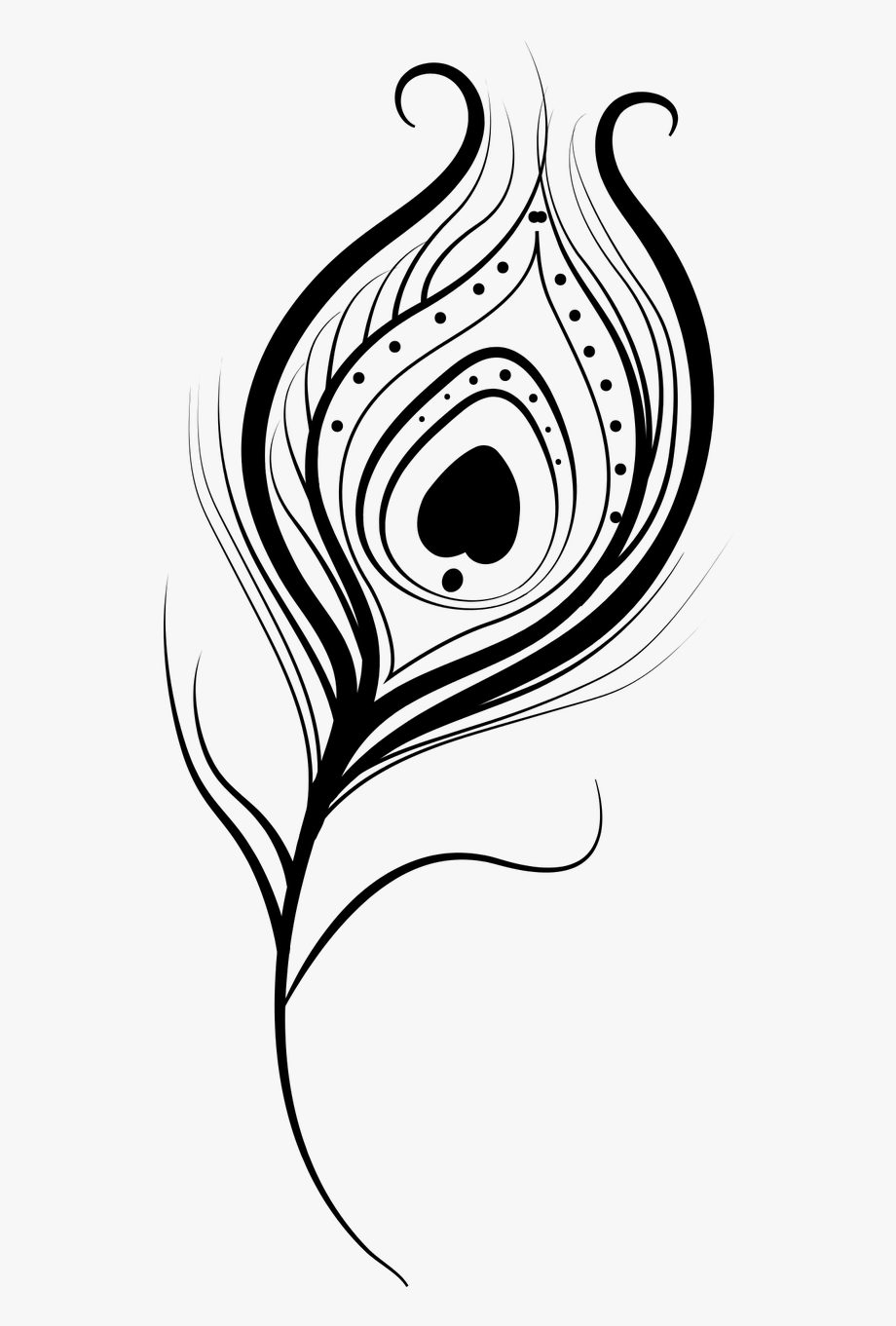 Feather Vector Isolated 920x1361 Feather Vector Isolated
