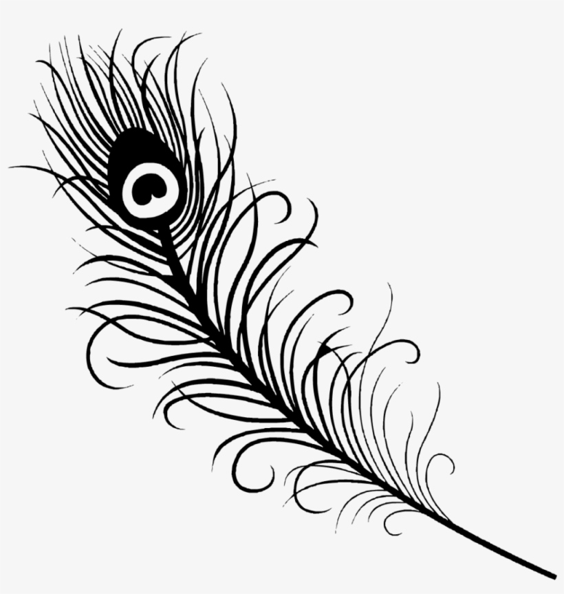 Feather Vector Png Images Png Cliparts Free Download On Seekpng 820x863 Feather Vector Png Images Png Cliparts Free Download On Seekpng