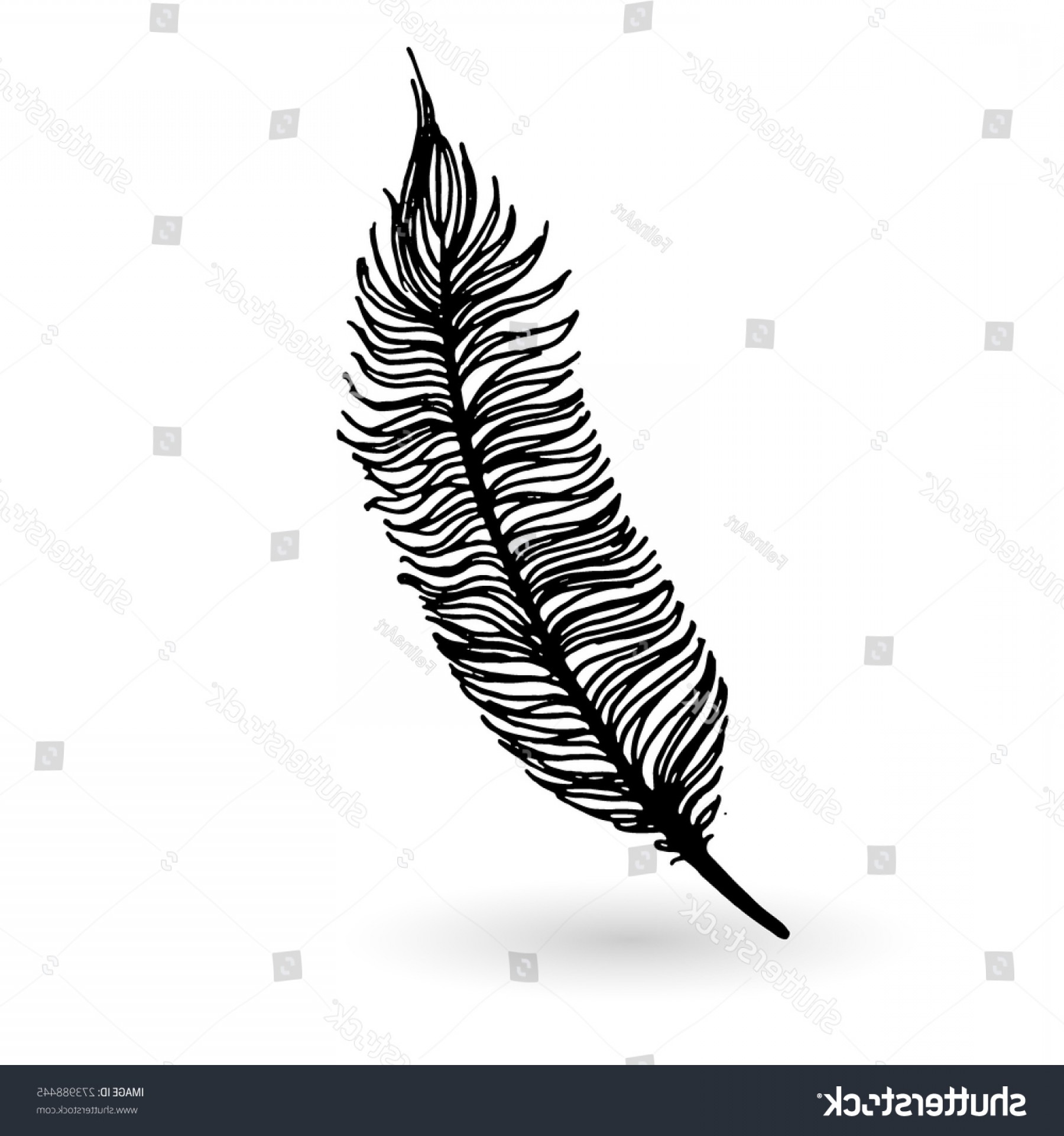 Isolated Line Art Feather Vector Handandbeak 1800x1920 Isolated Line Art Feather Vector Handandbeak