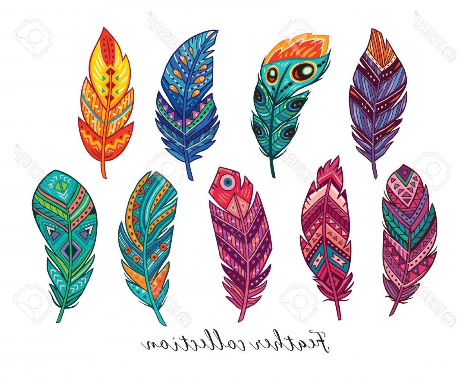 Native Feather Vector Cqrecords 1560x1258 Native Feather Vector Cqrecords