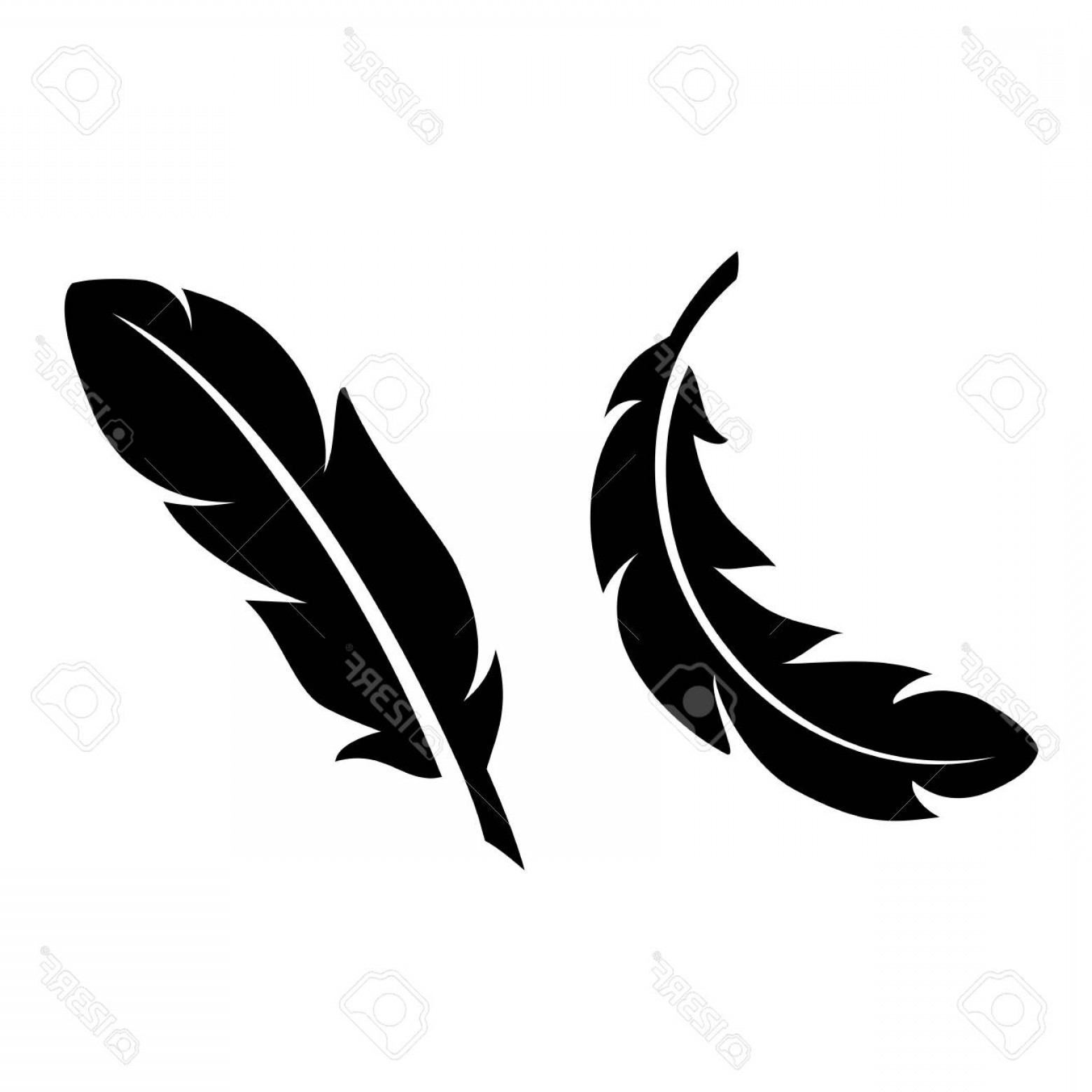 Download Feather Vector Image at Vectorified.com | Collection of ...