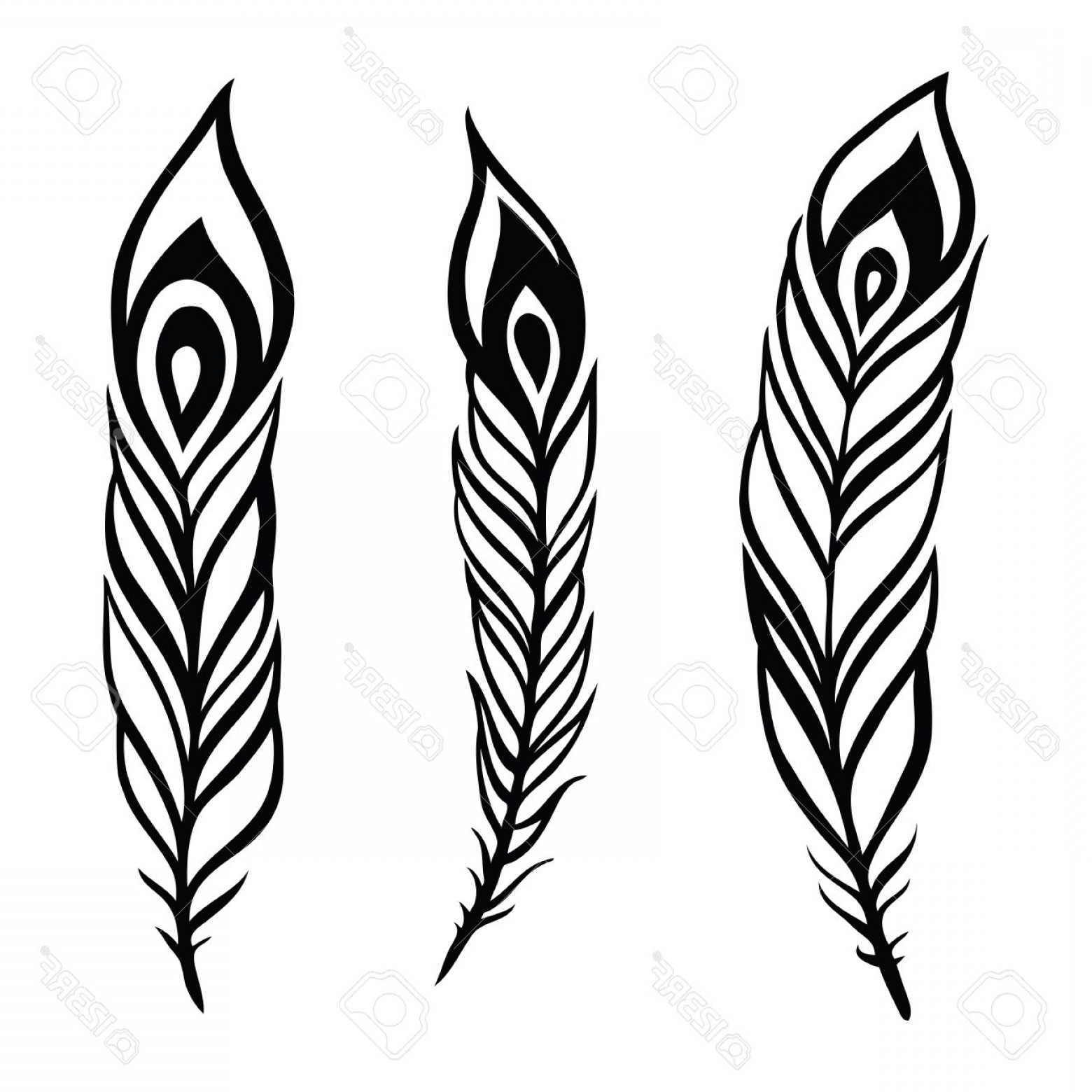 Photostock Vector Vintage Feather Vector Set Handandbeak 1560x1560 Photostock Vector Vintage Feather Vector Set Handandbeak