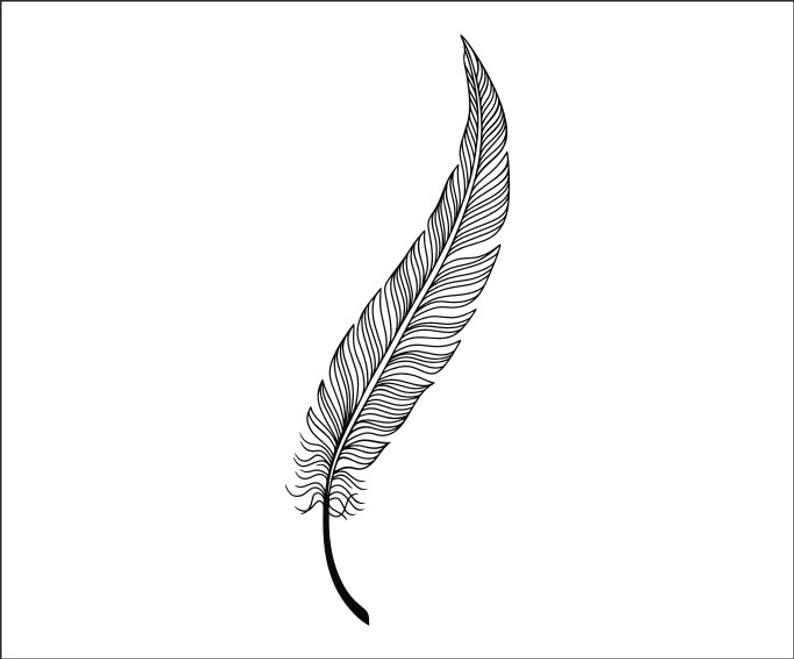 Decorative Feather Digital Instant Download Feather Vector Etsy 794x659 Decorative Feather Digital Instant Download Feather Vector Etsy