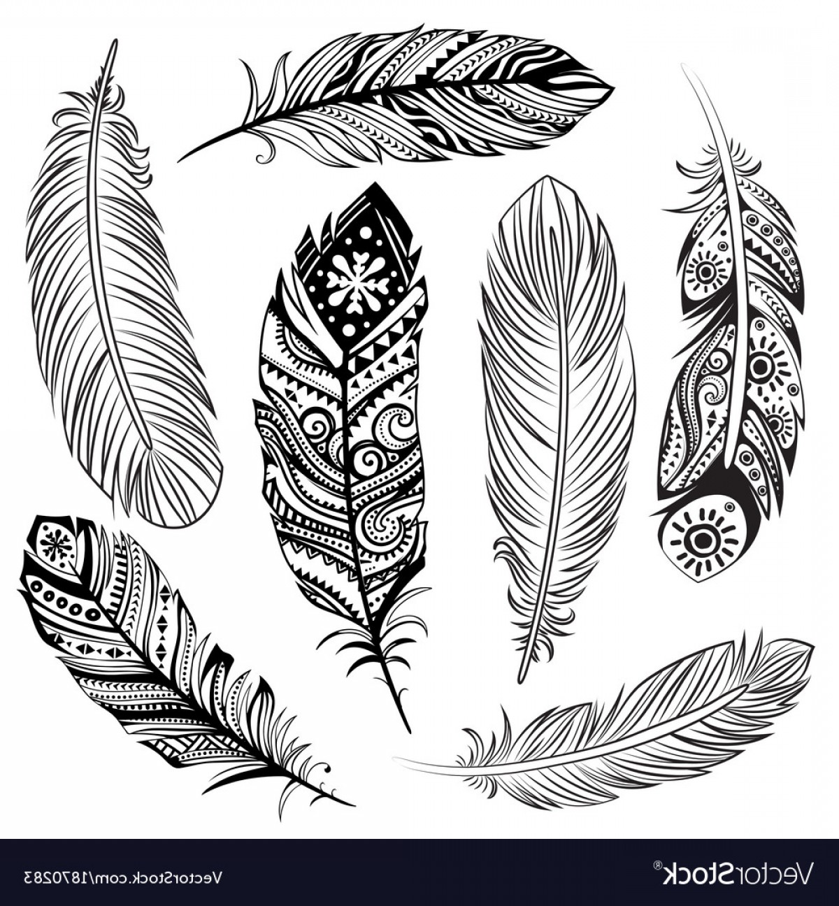 Ethnic Feathers Vector Wallkeeper 1200x1296 Ethnic Feathers Vector Wallkeeper