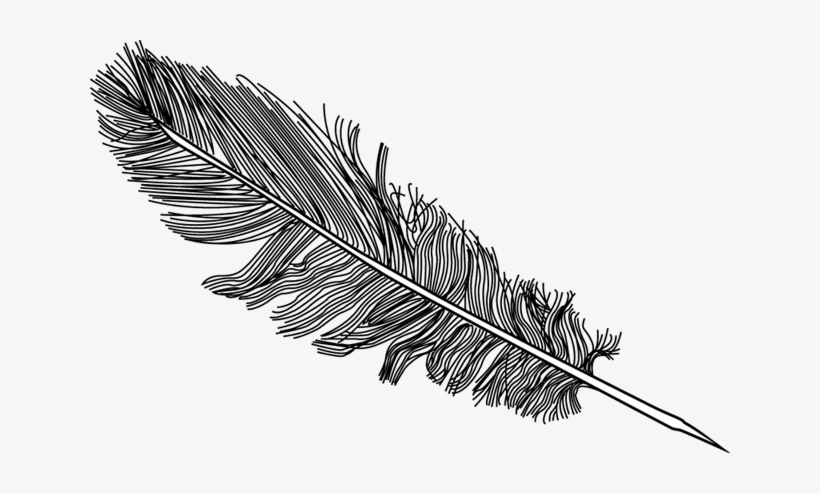 Feather Vector Png
