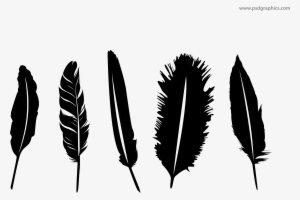 300x200 Feather Vector Png, Transparent Feather Vector Png Image Free