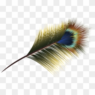 320x320 Feather Vector Png Images, Free Transparent Image Download